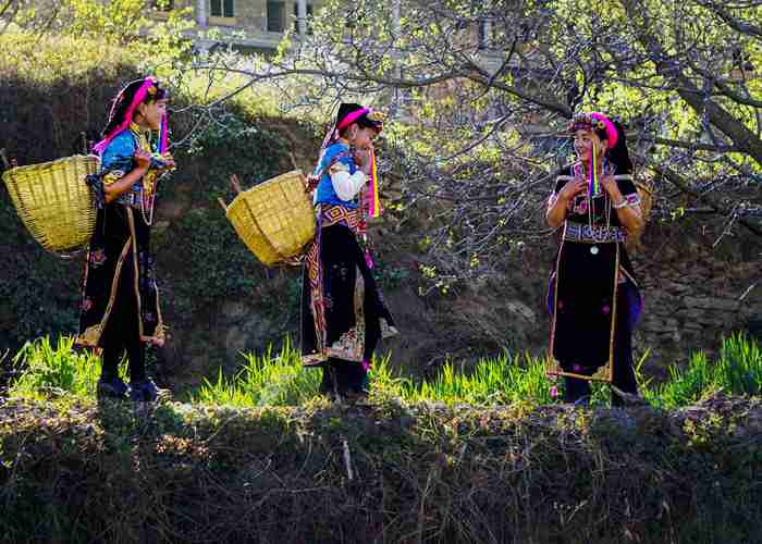 成都租奔驰商务车，团购价真的划算吗？我实地跑了一圈告诉你真相-第1张图片-成都租车公司